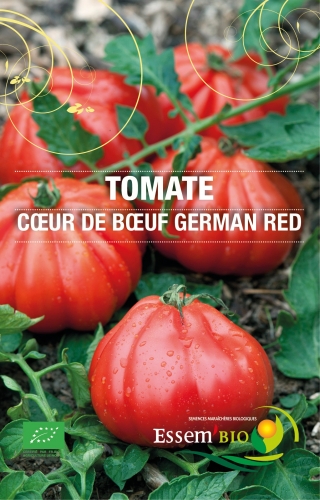 Semence Coeur de boeuf DE LIGURE (German Red)- BIO