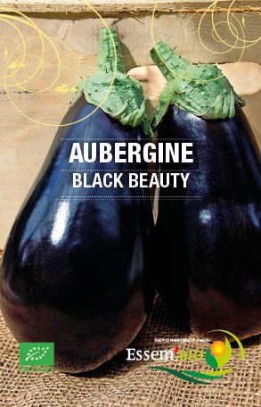 BLACK BEAUTY - BIO