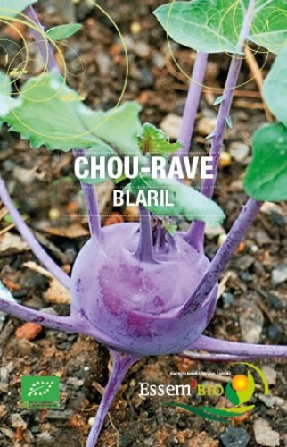 Semence Choux-raves BLARIL - BIO