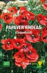 PAPAVER RHOEAS (coquelicot) - BIO