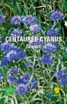 CENTAUREE CYANUS ( Bleuet ) - BIO