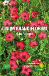 LINUM GRANDIFLORUM ( Lin Rouge ) - BIO