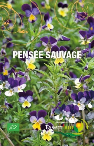 Semence Semences florales PENSEE SAUVAGE - BIO