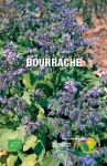 BOURRACHE - BIO