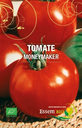 Semence Tomates MONEYMAKER - BIO
