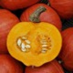 AMORO F1 - BO