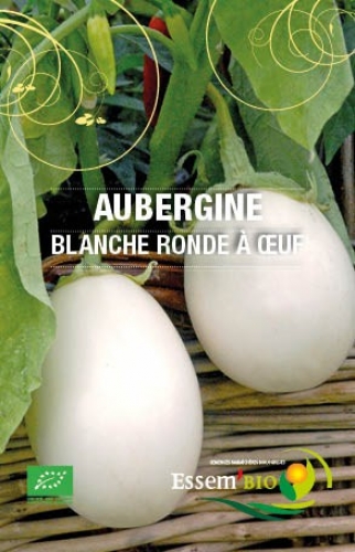 Semence Aubergines BLANCHE RONDE A OEUF - BIO