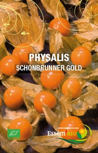 Semence Physalis PHYSALIS SCHONBRUNNER GOLD - BIO