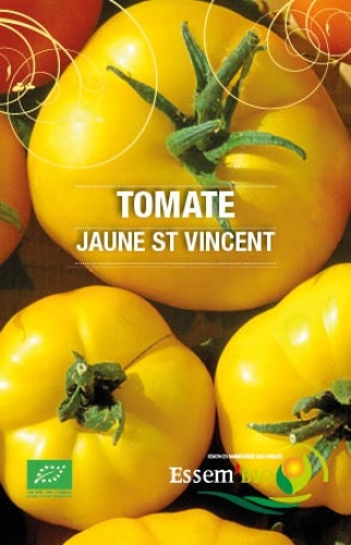 Semence Tomates JAUNE SAINT VINCENT - BIO