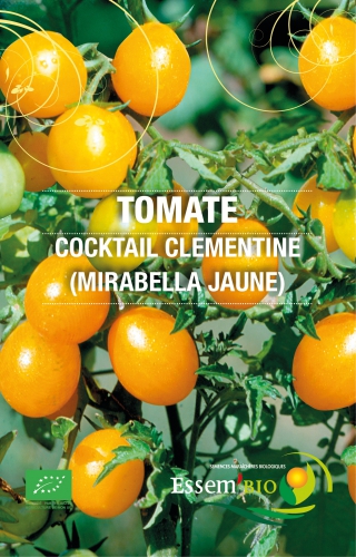 Semence Tomates COCKTAIL CLEMENTINE 