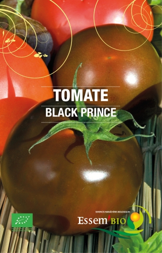 Semence Tomates BLACK PRINCE - BIO