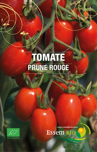 Semence Tomates PRUNE ROUGE - BIO