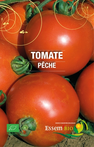 Semence Tomates PECHE - BIO
