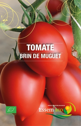 Semence Tomates BRIN DE MUGUET - BIO