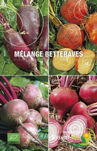 Semence Mélange de graines MELANGE DE BETTERAVES - BIO