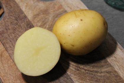 Semence Pommes de terre LADY CHRISTL (livraison à partir du 15 Février)  - BIO