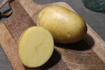 Semence Pommes de terre MONALISA (livraison à partir du 15 février) - BIO - calibre 35/45