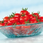 TASTYNO F1 - BIO