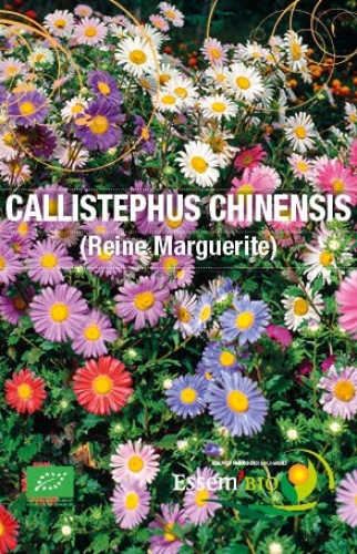 Semence Semences florales Callistephus Chinensis (Reine Marguerite) - BIO
