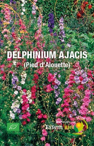 Semence Semences florales DELPHINUM AJACIS (pied d'alouette) - BIO